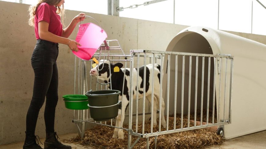 139184_Anwendungsbild__14470_5bc1