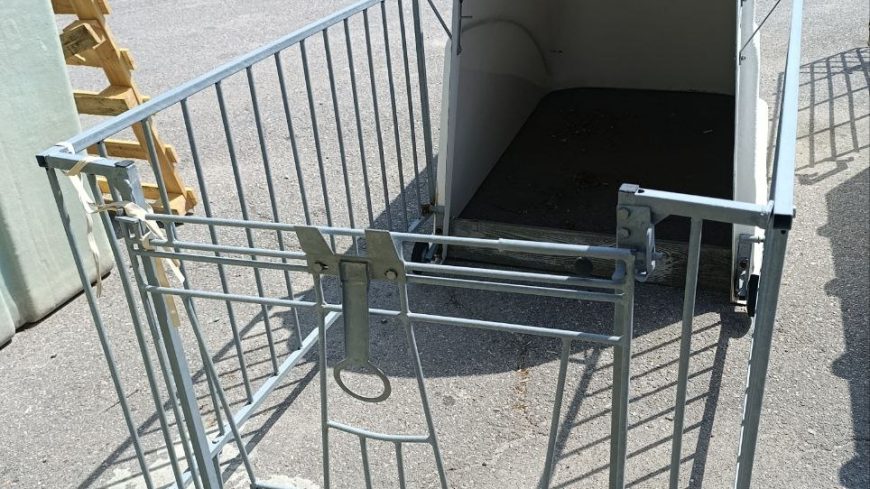 photo_2_2026-03-10_13-31-22