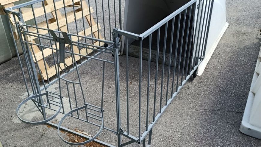 photo_3_2026-03-10_13-31-22