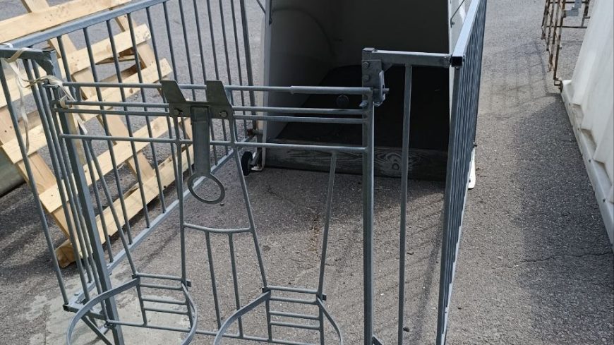 photo_4_2026-03-10_13-31-22